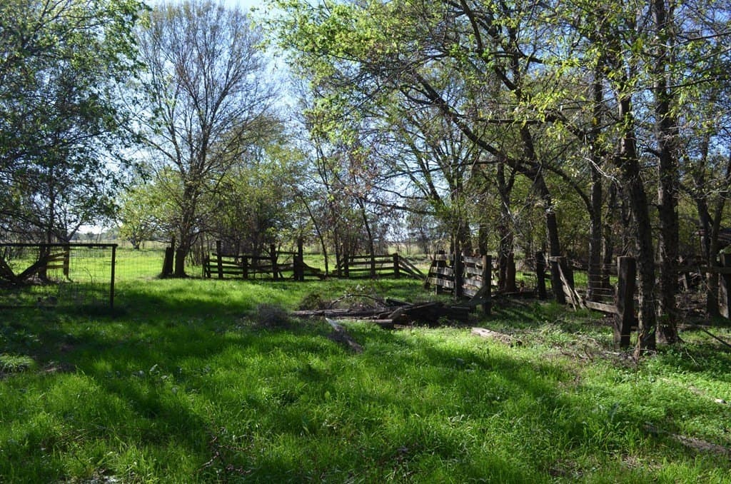 15.7 acres in Van Zandt County - photo 9