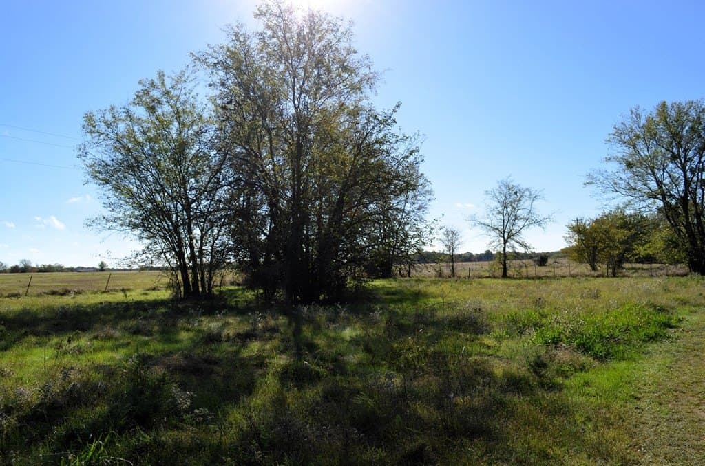 15.7 acres in Van Zandt County - photo 5