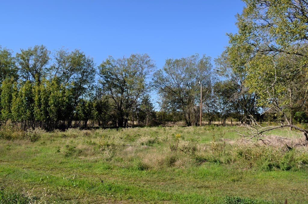 15.7 acres in Van Zandt County - photo 4