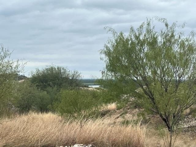 129.53 acres in Maverick County - photo 7