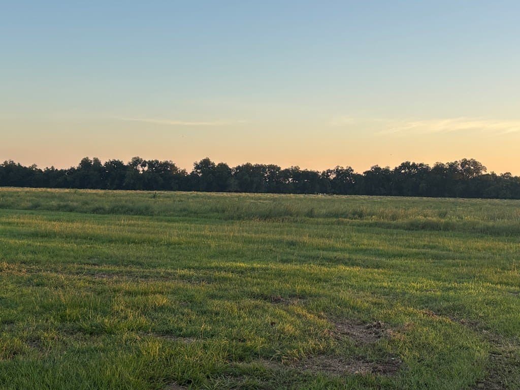53.92 acres in Texas County - photo 3