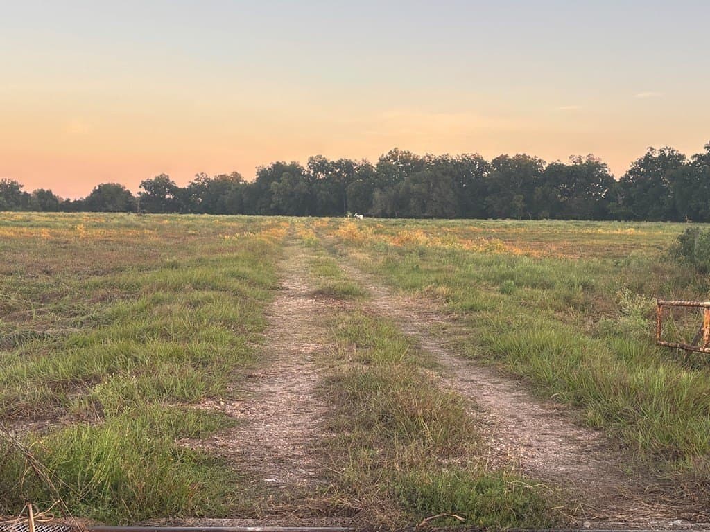 53.92 acres in Texas County - photo 2