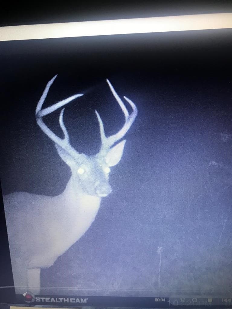11.4 acres in ANDERSON County - photo 28