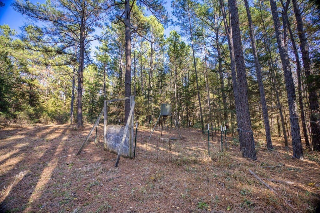 11.4 acres in ANDERSON County - photo 9