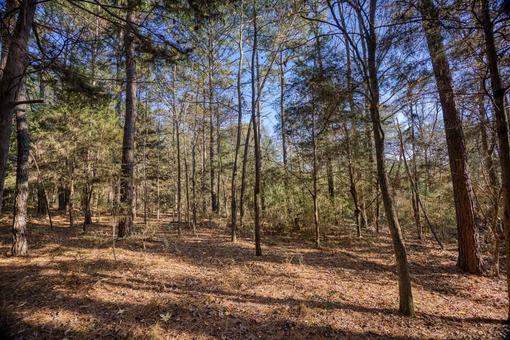 11.4 acres in ANDERSON County - photo 19