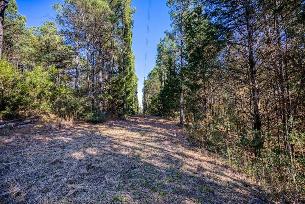 11.4 acres in ANDERSON County - photo 18