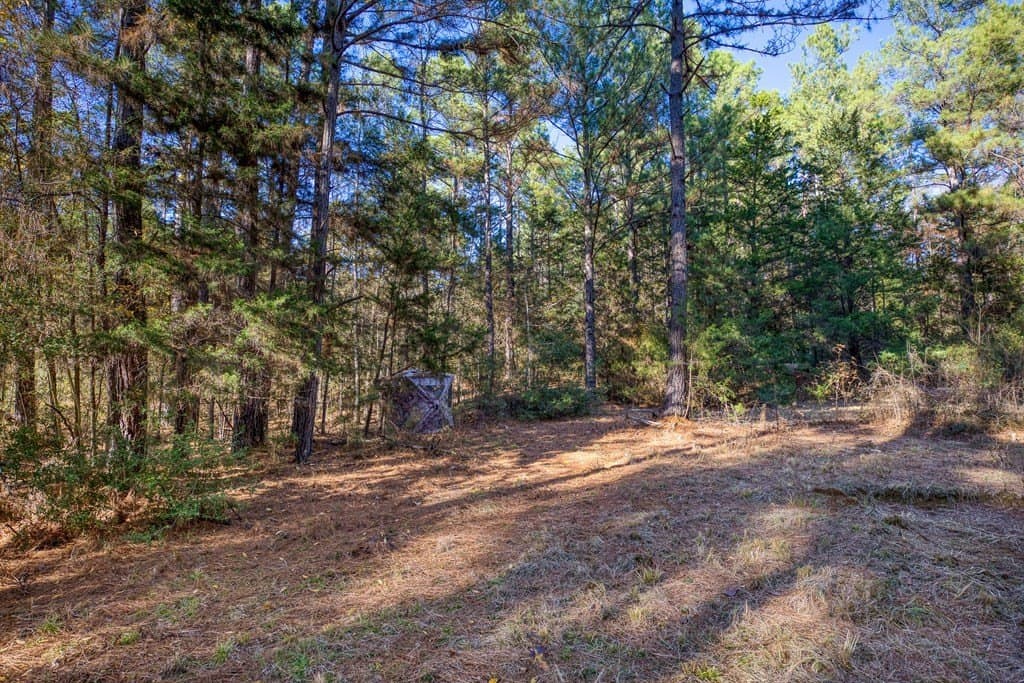 11.4 acres in ANDERSON County - photo 21