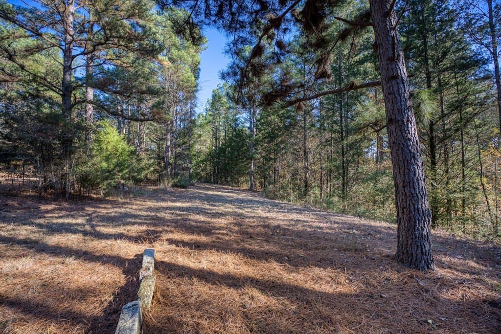 11.4 acres in ANDERSON County - photo 13
