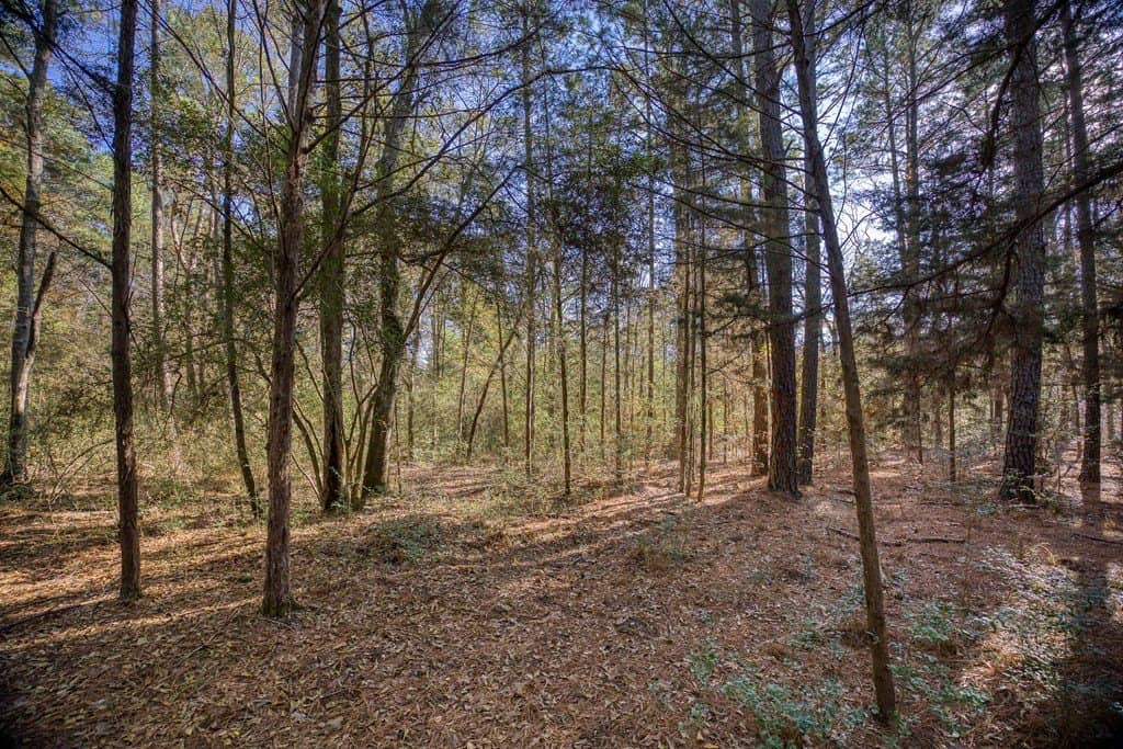 11.4 acres in ANDERSON County - photo 20
