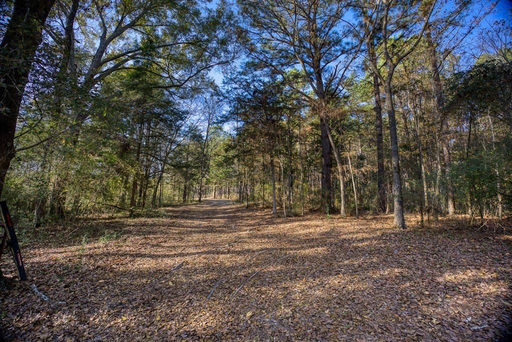 11.4 acres in ANDERSON County - photo 22