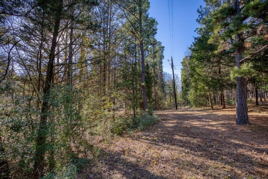 11.4 acres in ANDERSON County - photo 14