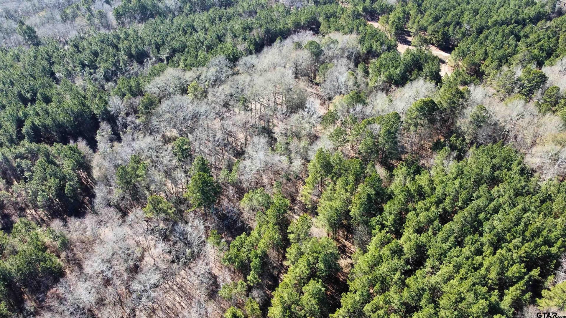 46.73 acres in Rusk County - photo 7