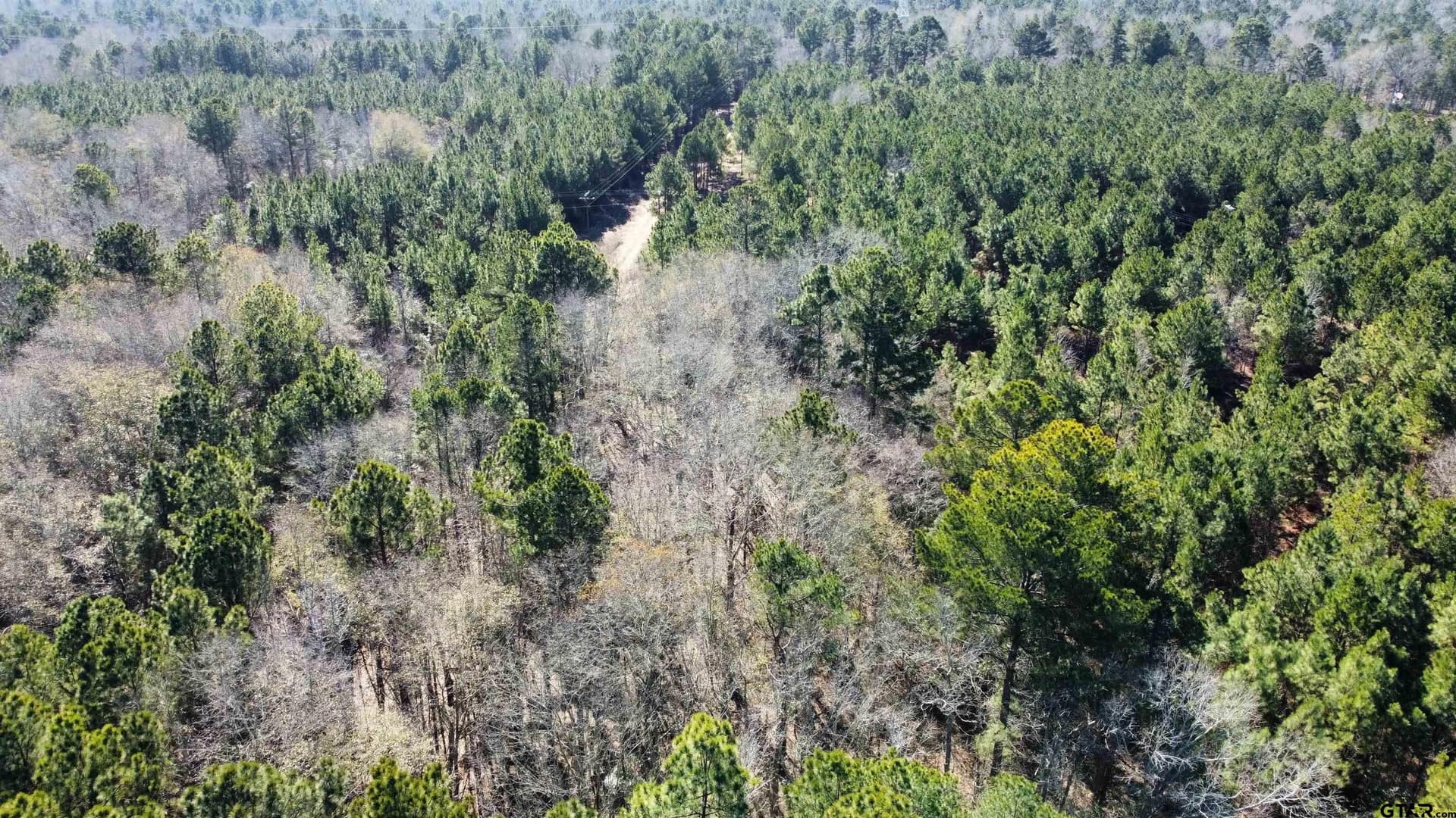 46.73 acres in Rusk County - photo 8