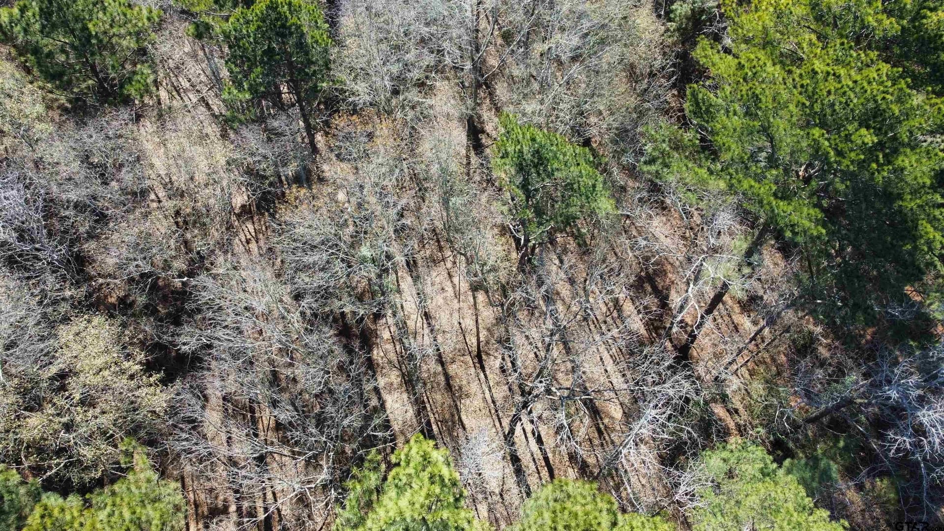 46.73 acres in Rusk County - photo 9