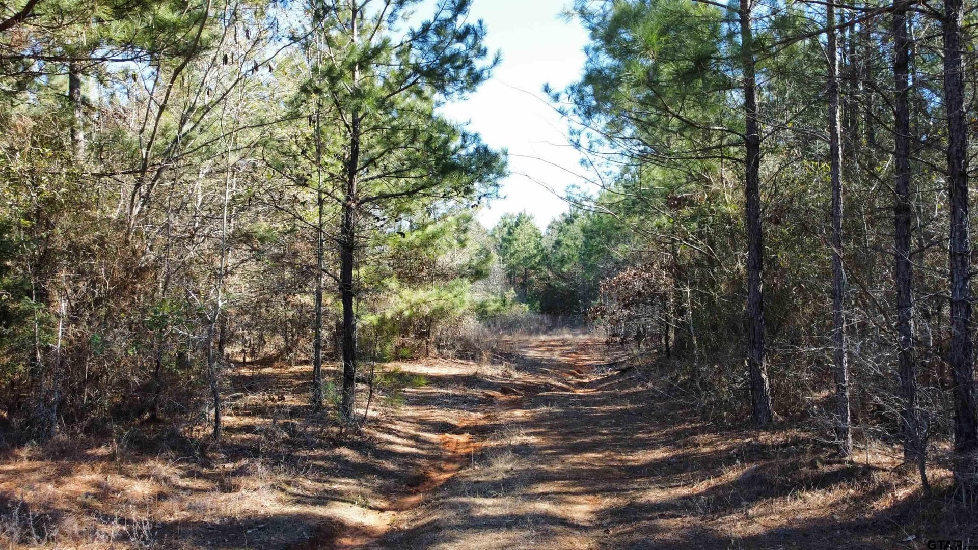 46.73 acres in Rusk County - photo 14