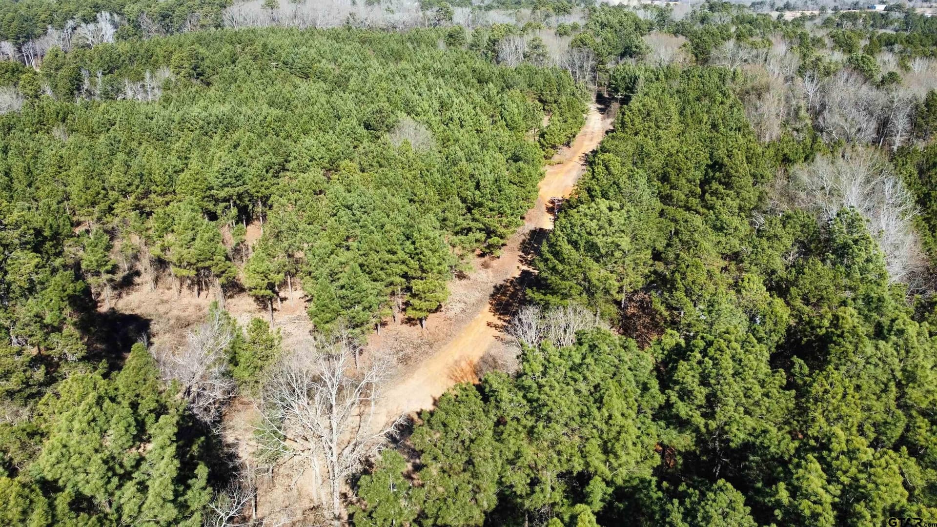 46.73 acres in Rusk County - photo 5