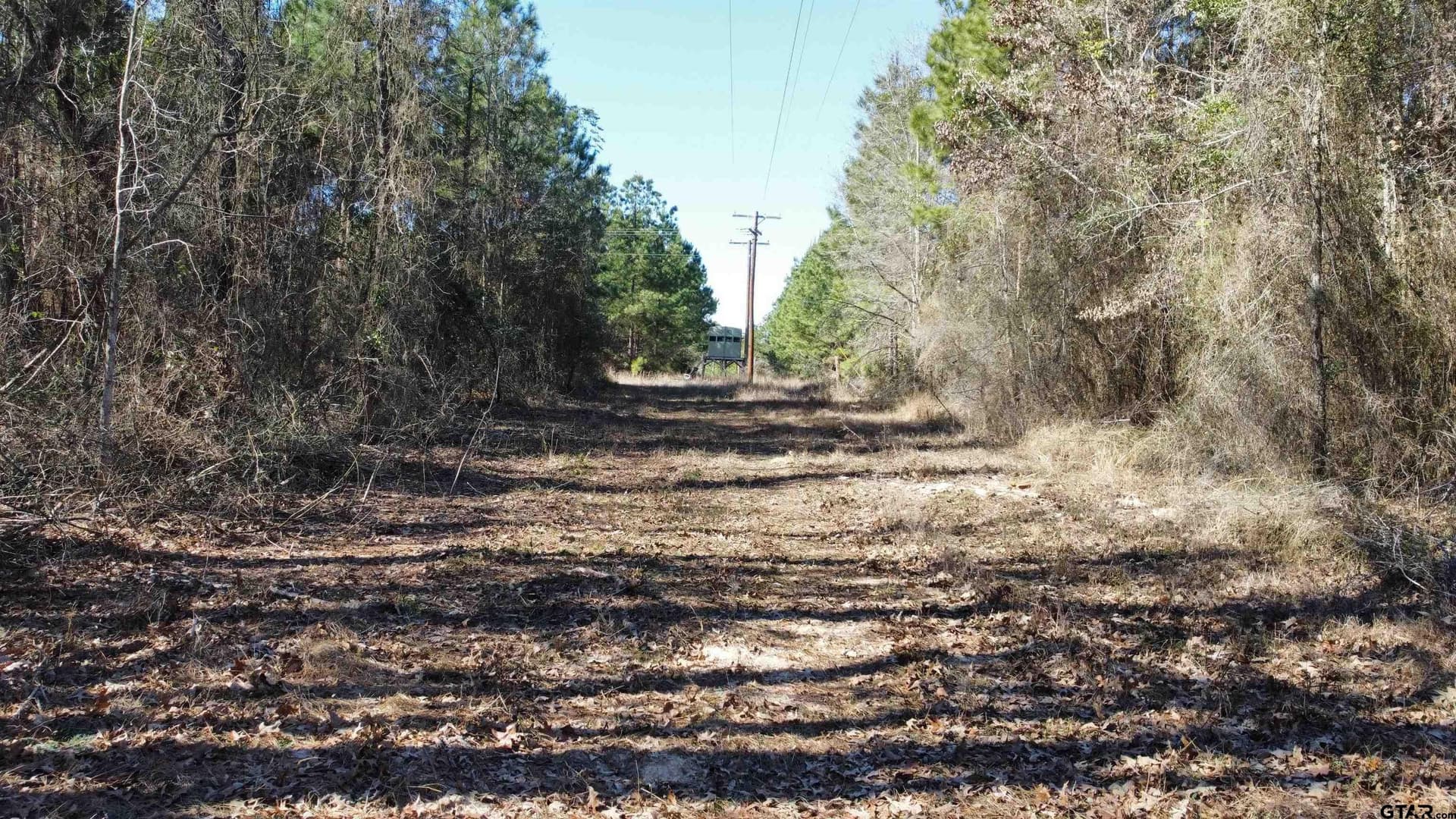 46.73 acres in Rusk County - photo 21