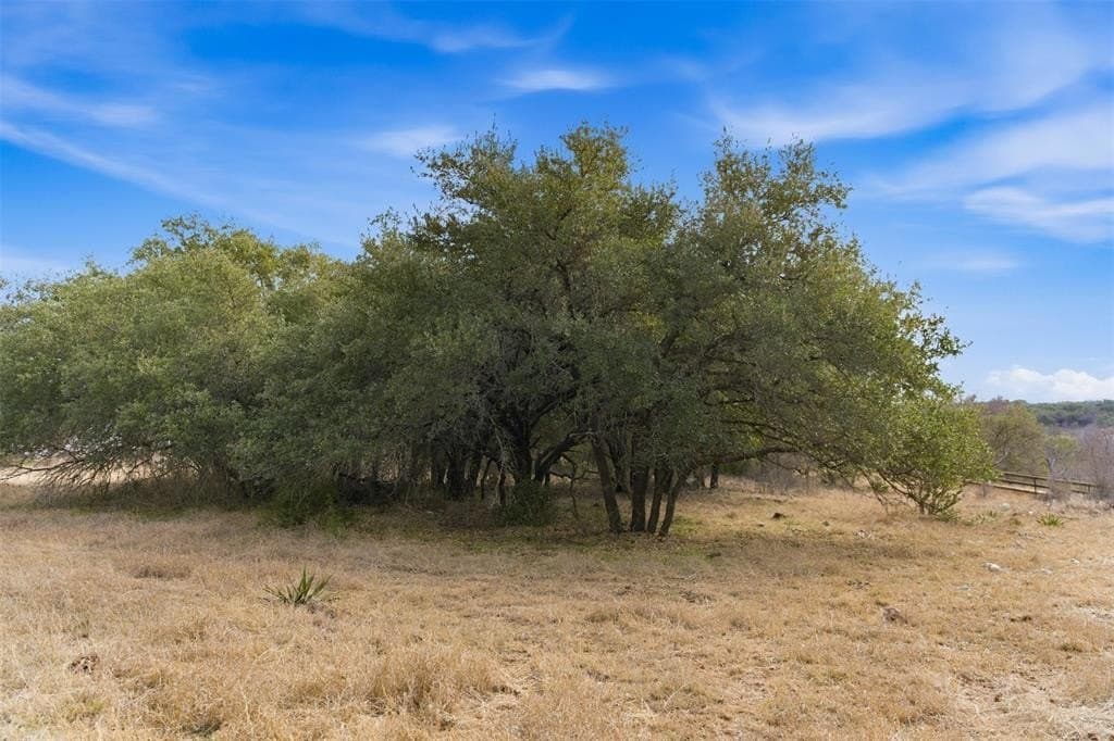 32 acres in Bell County - photo 31