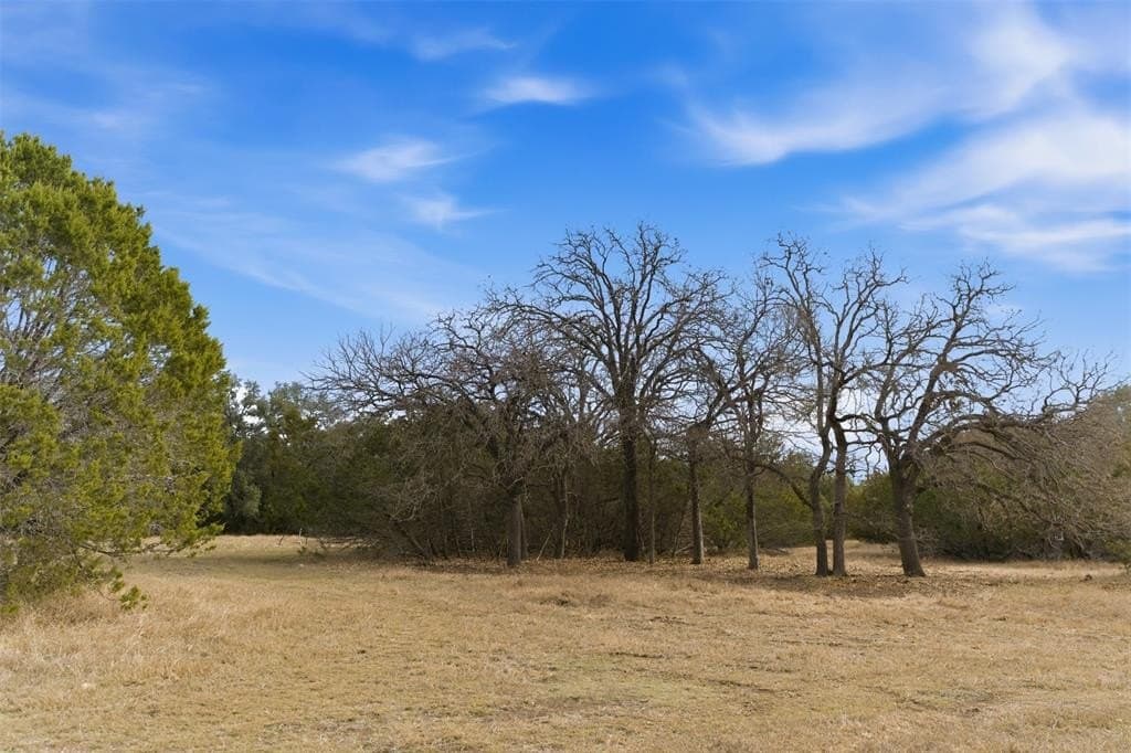 32 acres in Bell County - photo 21