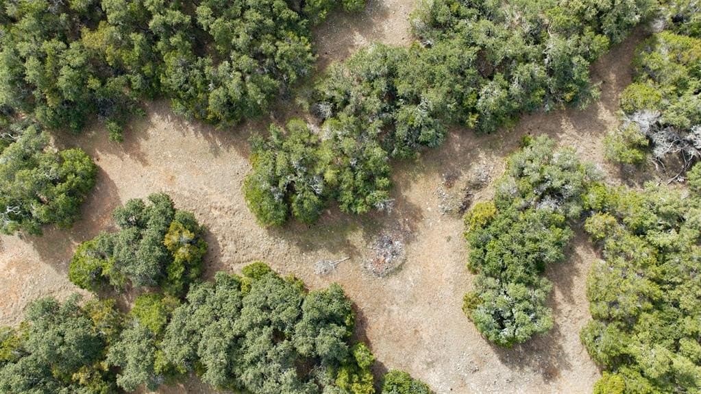 32 acres in Bell County - photo 12