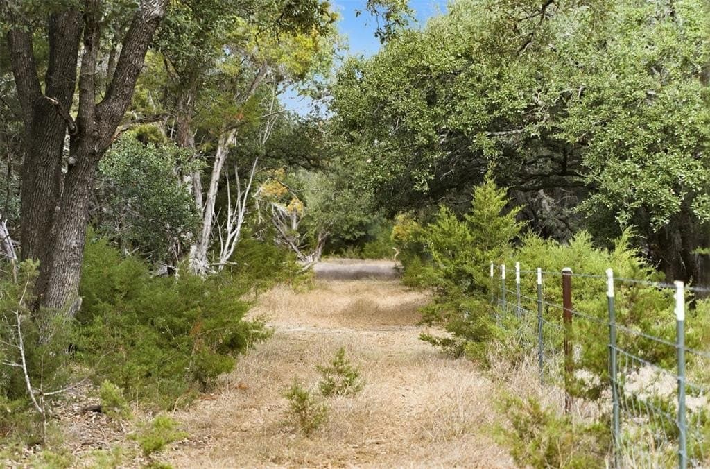 32 acres in Bell County - photo 16
