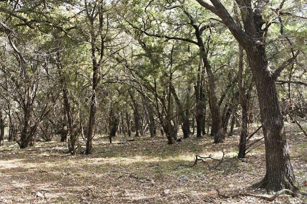 32 acres in Bell County - photo 27