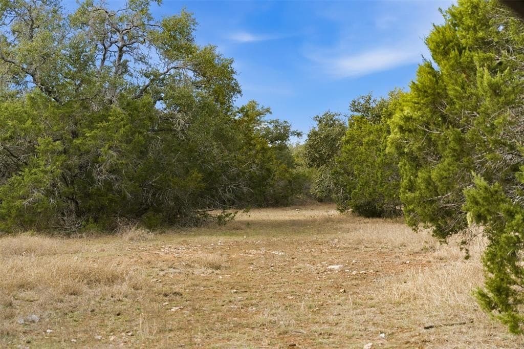 32 acres in Bell County - photo 18