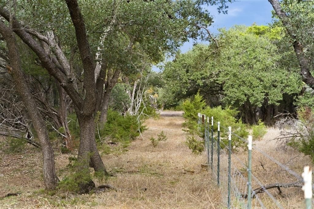 32 acres in Bell County - photo 17