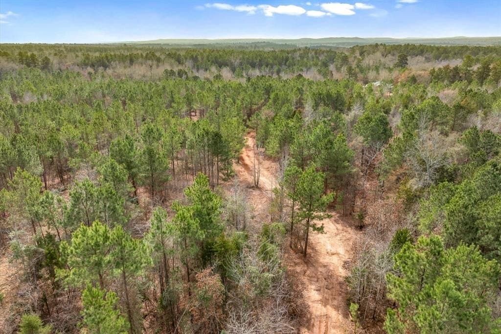 48 acres in Morris County - photo 11