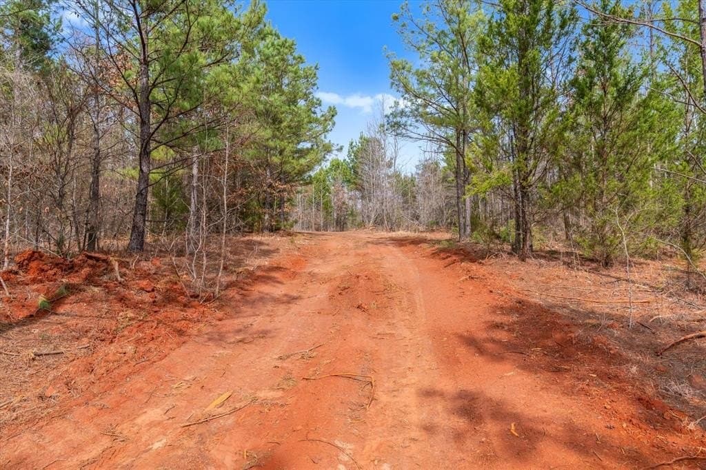 48 acres in Morris County - photo 13