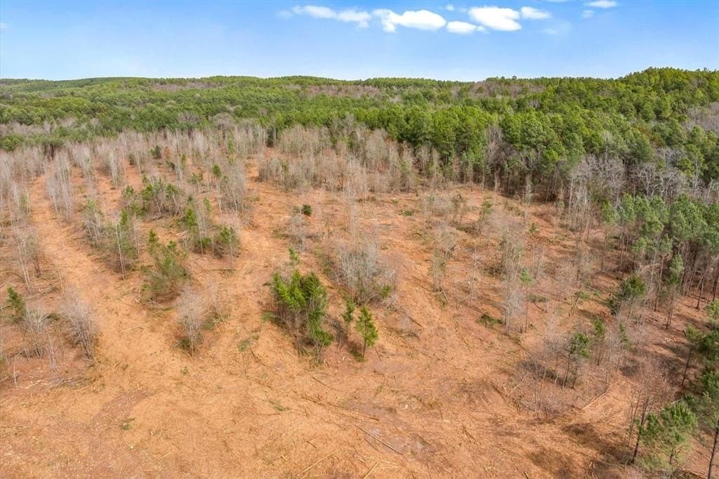48 acres in Morris County - photo 31