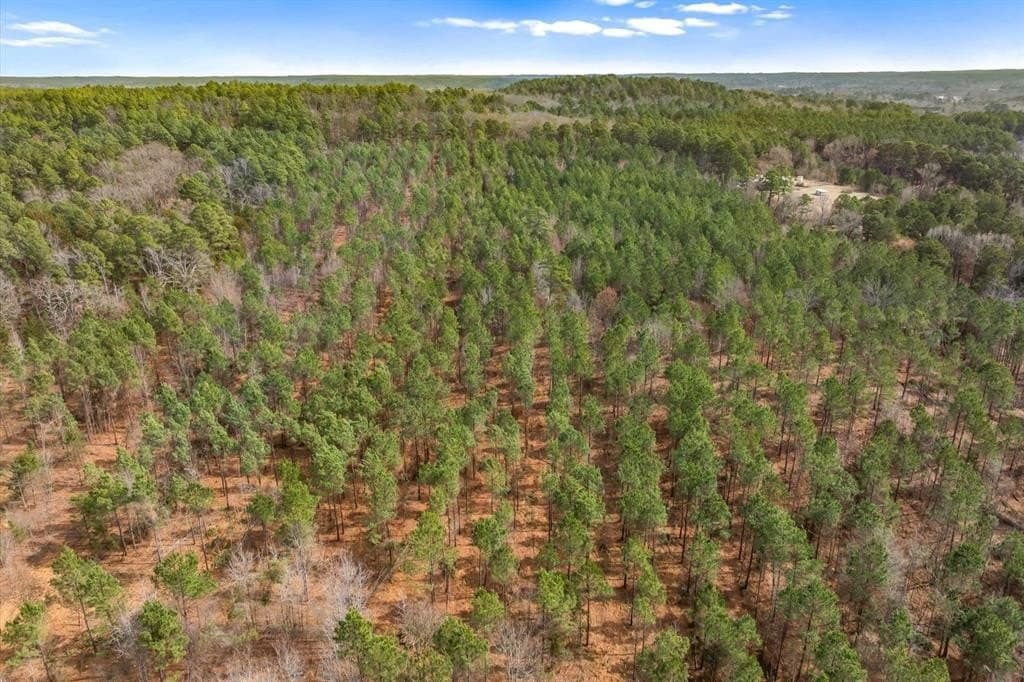 48 acres in Morris County - photo 12