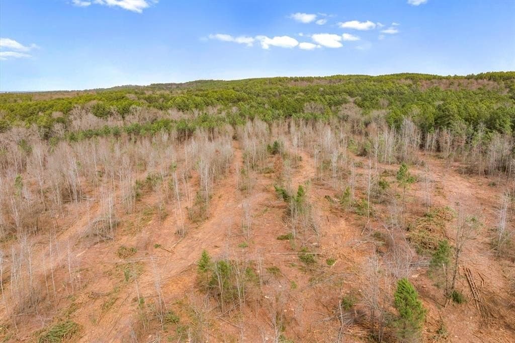 48 acres in Morris County - photo 24