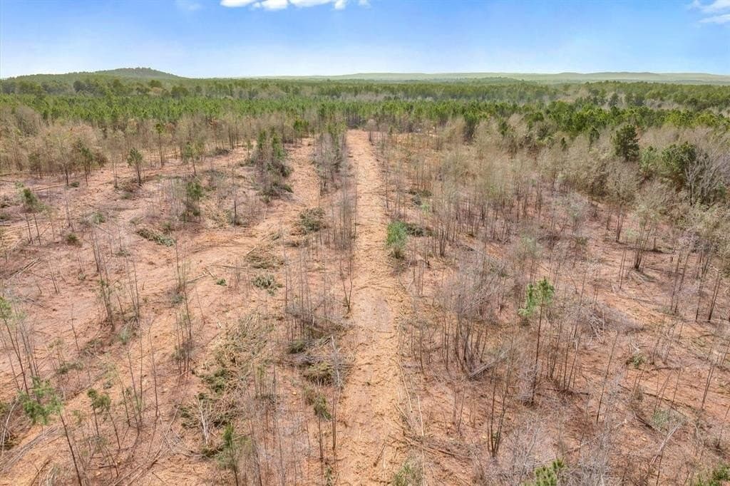 48 acres in Morris County - photo 30