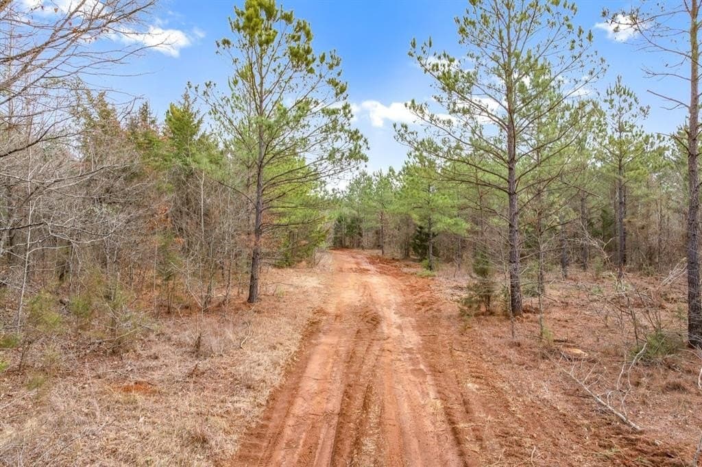 48 acres in Morris County - photo 5