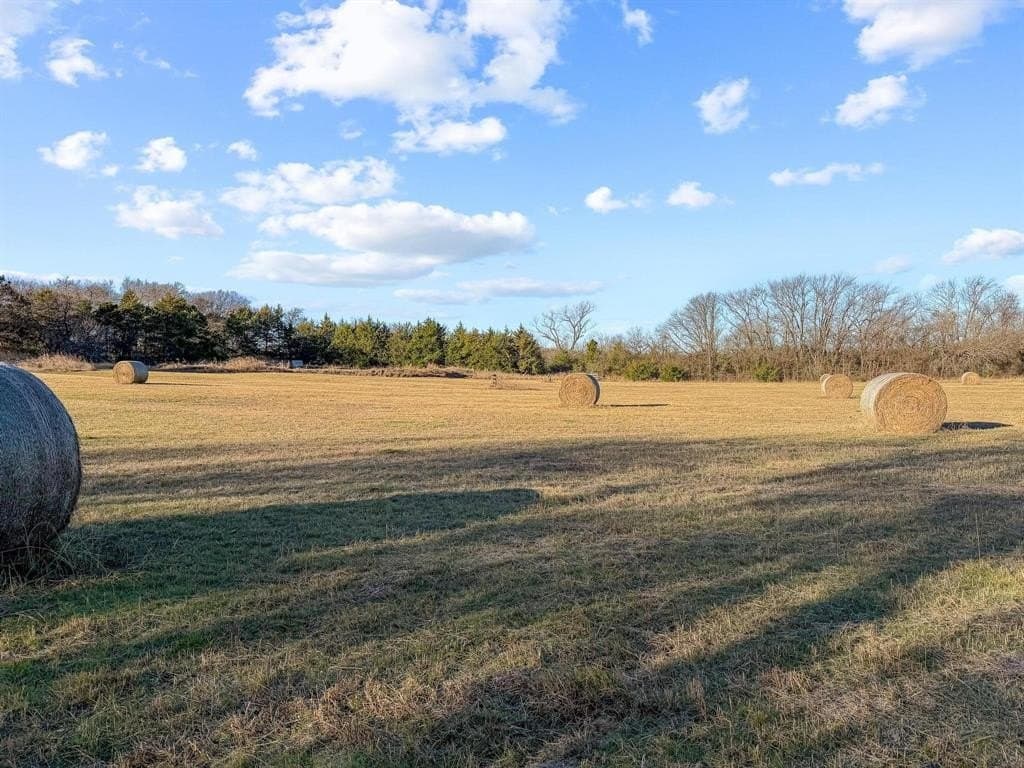 15.02 acres in Fannin County - photo 25