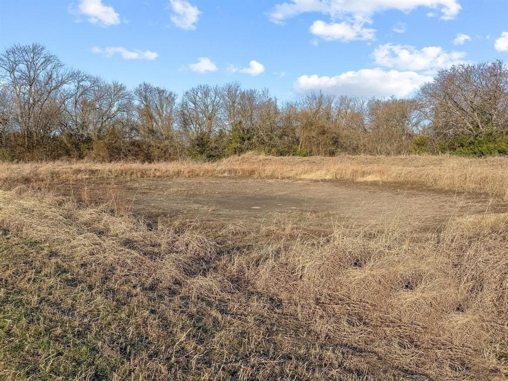 15.02 acres in Fannin County - photo 30