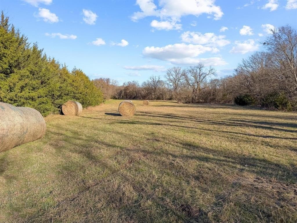15.02 acres in Fannin County - photo 34