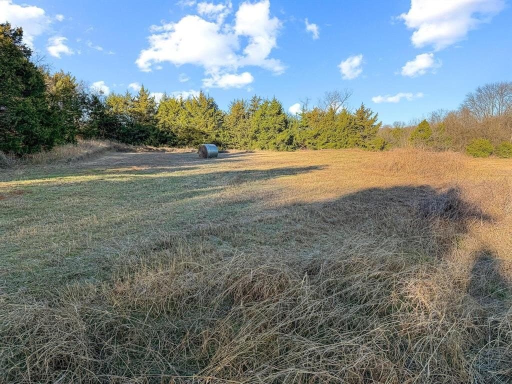 15.02 acres in Fannin County - photo 33