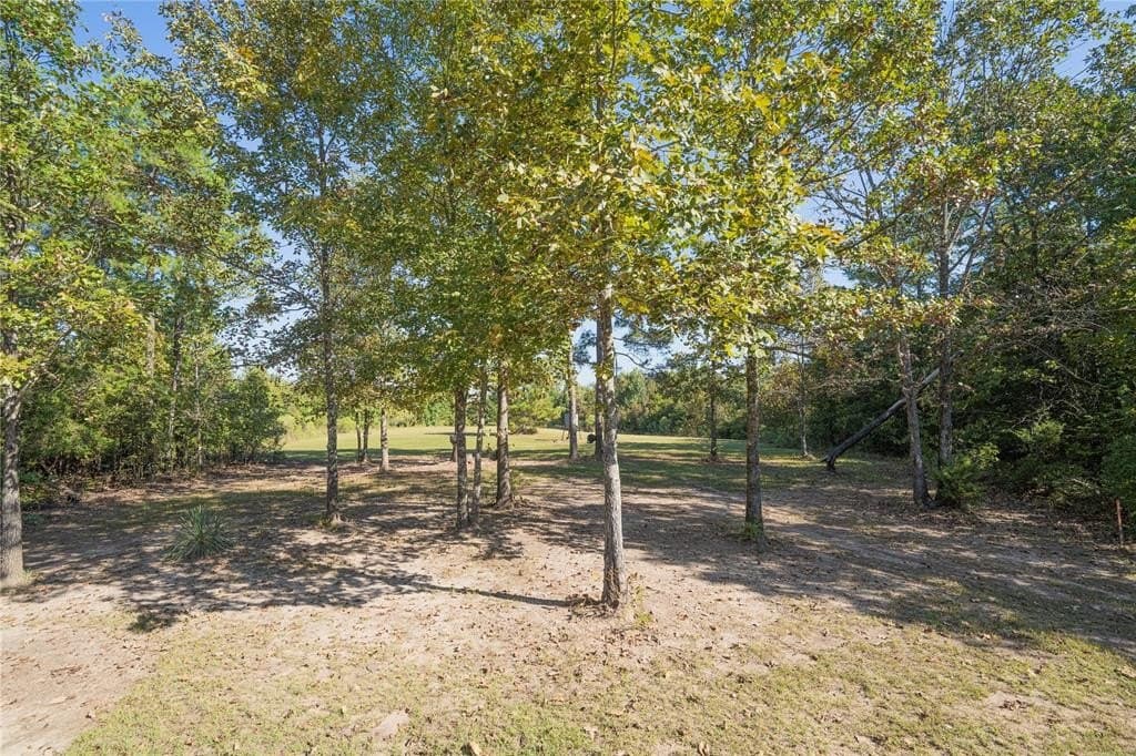 22 acres in Cass County - photo 33
