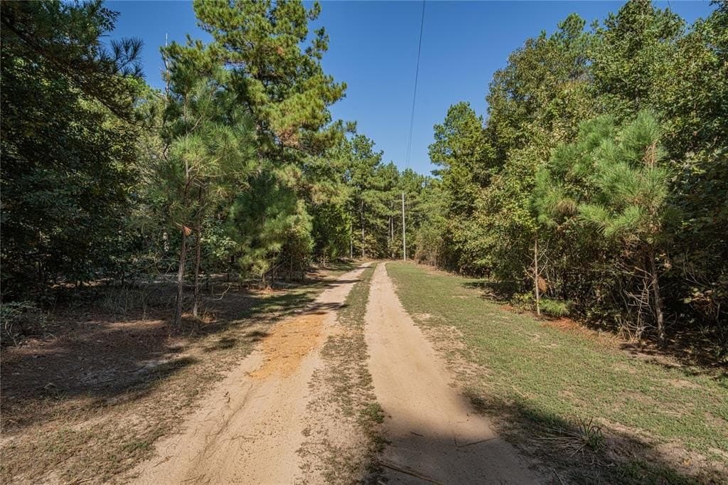 22 acres in Cass County - photo 39