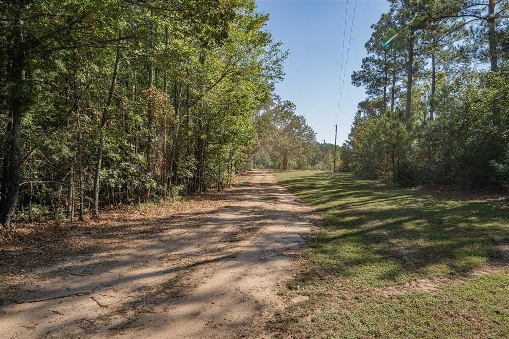 22 acres in Cass County - photo 40