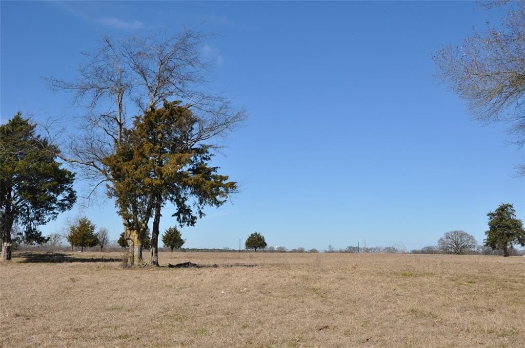 25.9 acres in Hopkins County - photo 5