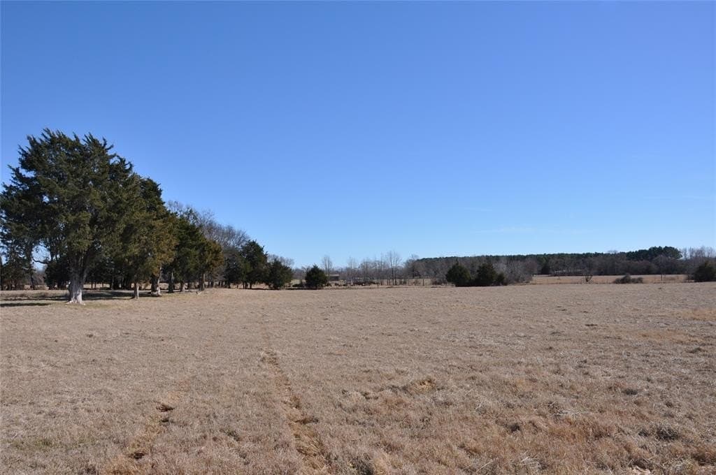 25.9 acres in Hopkins County - photo 9