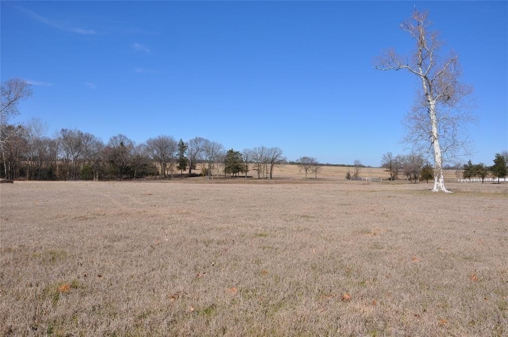 25.9 acres in Hopkins County - photo 4