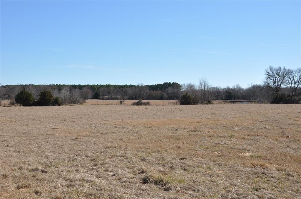 25.9 acres in Hopkins County - photo 6