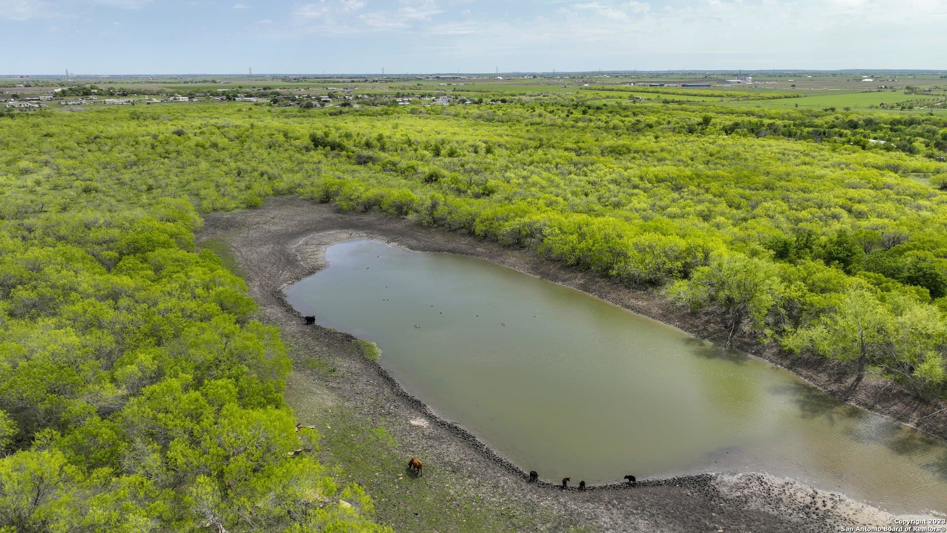 0 acres in Guadalupe County - photo 9