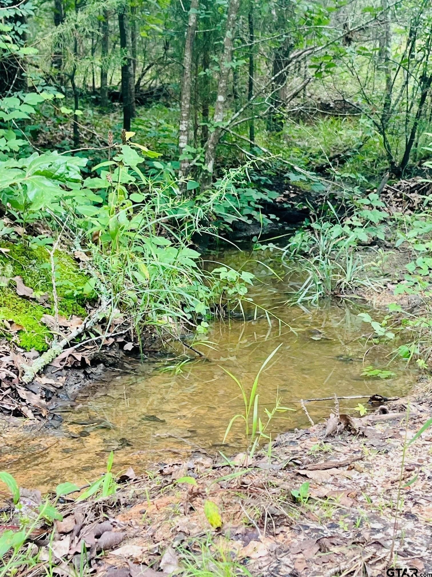 24 acres in Van Zandt County - photo 11