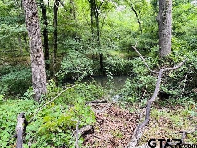 24 acres in Van Zandt County - photo 7