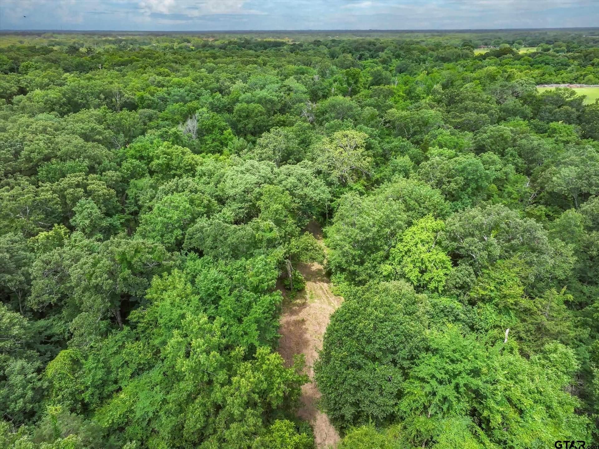 24 acres in Van Zandt County - photo 13